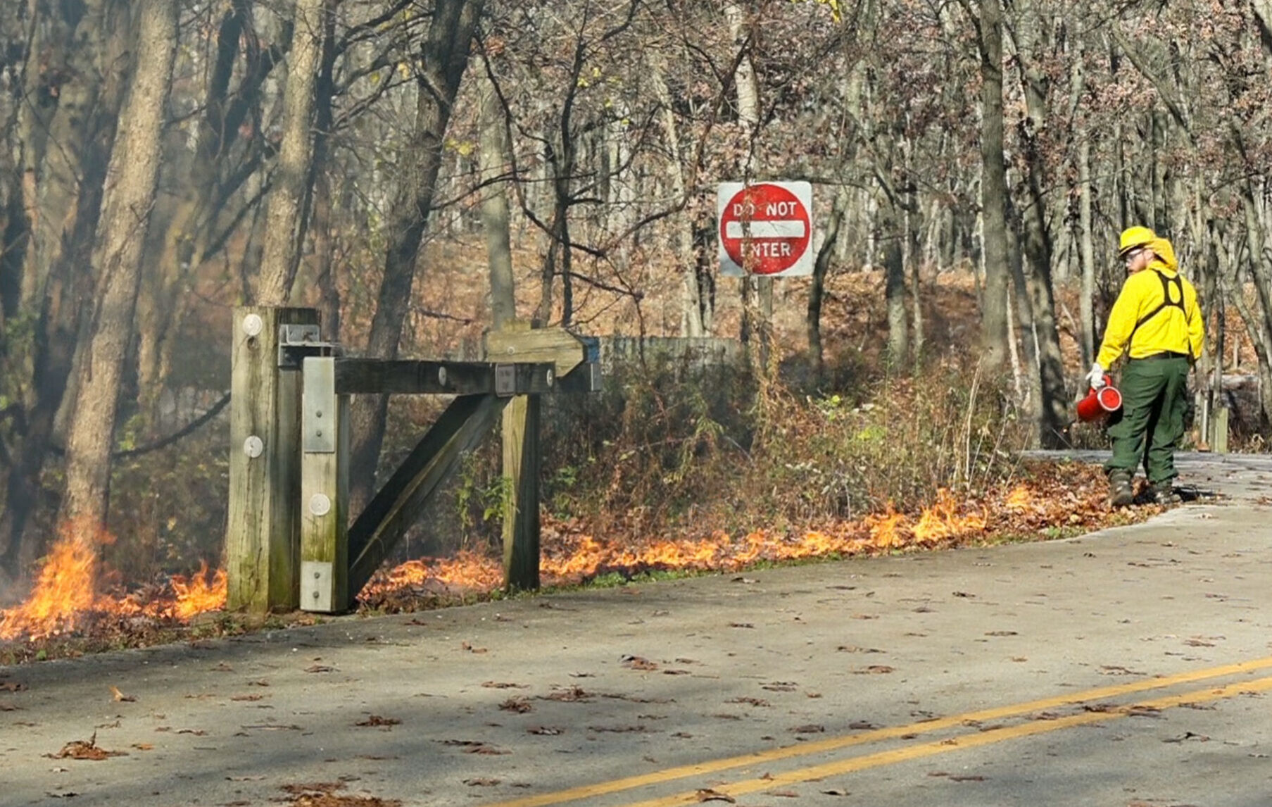 National Park Services Great Lake Fire Management Zone burn
